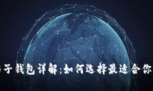 TP身份钱包与子钱包详解：如何选择最适合你的区块链钱包