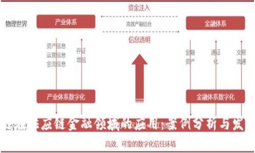 区块链在供应链金融领域的应用：案例分析与发展前景
