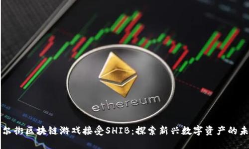 华尔街区块链游戏接受SHIB：探索新兴数字资产的未来