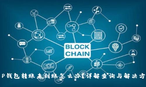 T P钱包转账未到账怎么办？详解查询与解决方法