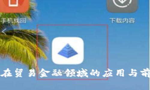 区块链在贸易金融领域的应用与前景探讨