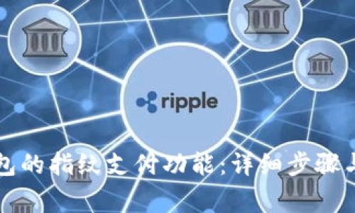 如何设置TP钱包的指纹支付功能：详细步骤与常见问题解答