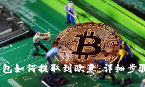 # TP钱包如何提取到欧意：详细步骤和技巧