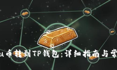 如何将Kishu币转到TP钱包：详细指南与常见问题解答
