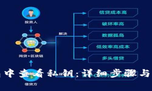 如何在TP钱包中查看私钥：详细步骤与常见问题解答
