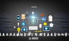 马来西亚区块链金融公司：探索未来金融的密码