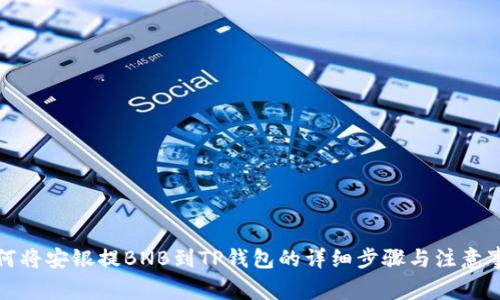 如何将安银提BNB到TP钱包的详细步骤与注意事项