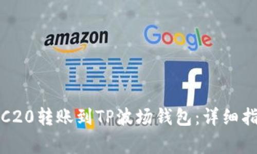 如何将欧易TRC20转账到TP波场钱包：详细指南与注意事项