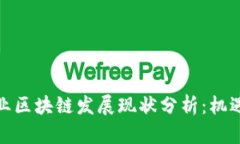 金融行业区块链发展现状分析：机遇与挑战