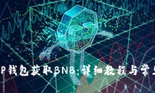 如何通过TP钱包获取BNB：详细教程与常见问题解答