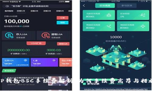 TP钱包BSC手续费解析：为何手续费高昂与措施