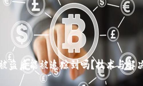 TP钱包币被盗后能被追踪到吗？技术与解决方案详解
