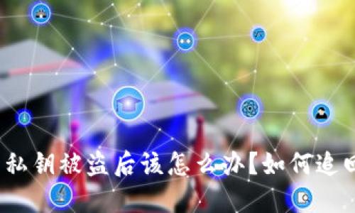 TP钱包私钥被盗后该怎么办？如何追回损失？