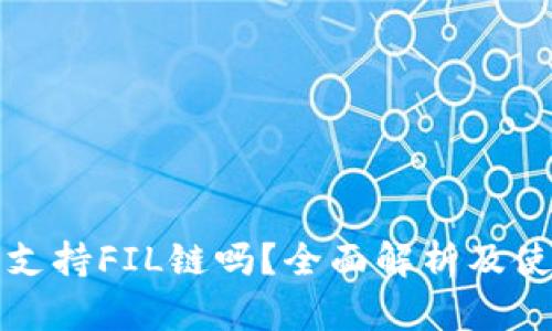 tP钱包支持FIL链吗？全面解析及使用指南