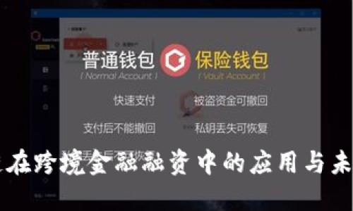 区块链在跨境金融融资中的应用与未来展望