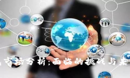 TP钱包市场分析：面临的挑战与未来趋势