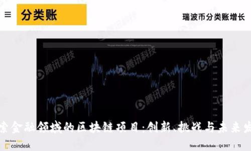 探索金融领域的区块链项目：创新、挑战与未来发展