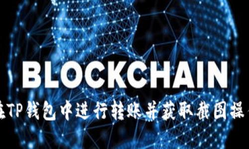 如何在TP钱包中进行转账并获取截图操作指南