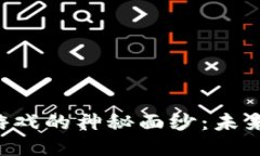 揭开D币区块链游戏的神秘面纱：未来游戏的新风