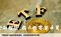美国区块链金融探险：揭示数字货币背后的无限