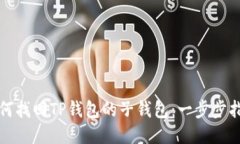 如何找回TP钱包的子钱包：一步步指南