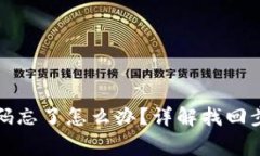 TP钱包支付密码忘了怎么办？详解找回步骤及注意