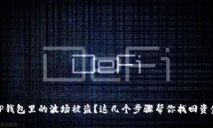 TP钱包里的波场被盗？这几个步骤帮你找回资金