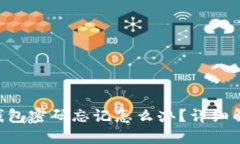 TokenPocket钱包密码忘记怎么办？详细解决方案与技