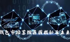 TokenPocket钱包市场萎缩原因揭秘及未来发展趋势分