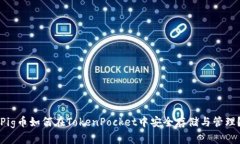 Pig币如何在TokenPocket中安全存储与管理？