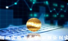 数字金融区块链的实施与展望：从理论到实践的