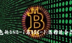 深入解析TP钱包的BNB-1与BSC-1：选择适合你的区块