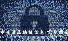 如何在游戏中查看区块链信息：完整指南与实用